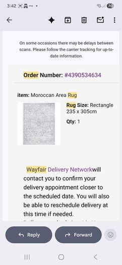 rug