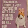 Cat Book Image 2
