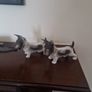ceramic dogs Image 3