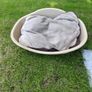 Med Dog bed and mattress Image 2