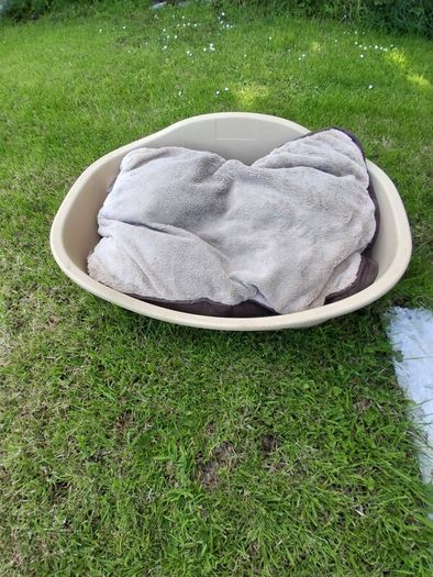 Med Dog bed and mattress