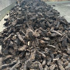 Last Load Black Coal