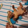 Papo lion cubs, retired, rare Image 2