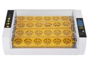 24-Egg Incubator with Automatic Digital Temperature Control