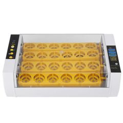 24-Egg Incubator with Automatic Digital Temperature Control