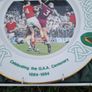 GAA centenary plate Image 4