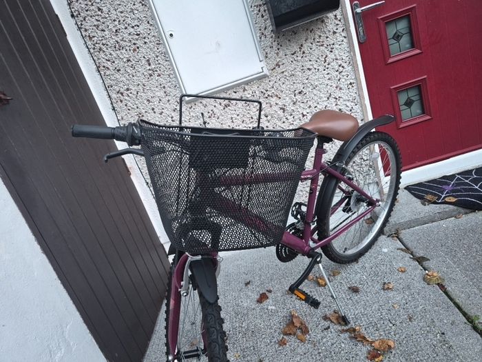 Apollo Twilight ladies bike with basket