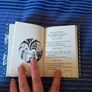 Scriptural Rosary Book. A Modern Version Of The Way The Rosary Was Once Prayed. Image 5