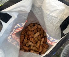 100 wine cork