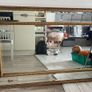 Mirror Image 2