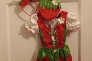 Girls fancy dress agec3-4