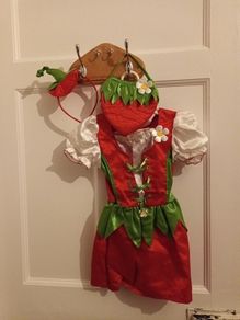 Girls fancy dress agec3-4
