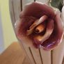Vintage Capodimonte Giant Jar/ vase Image 3