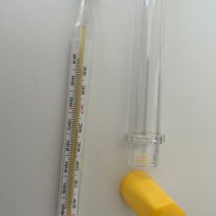 Thermometer