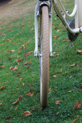 Popal Ladies Dutch Bike 28 Inch 3 Speed Basil Wicker Basket
