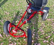 Berg go kart