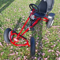 Berg go kart
