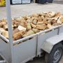 Firewood for sale,  softwood Image 2
