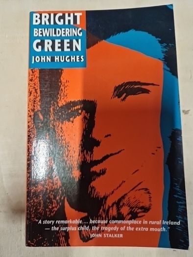irish history,  politics and interests