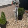 Racing bike Image 3