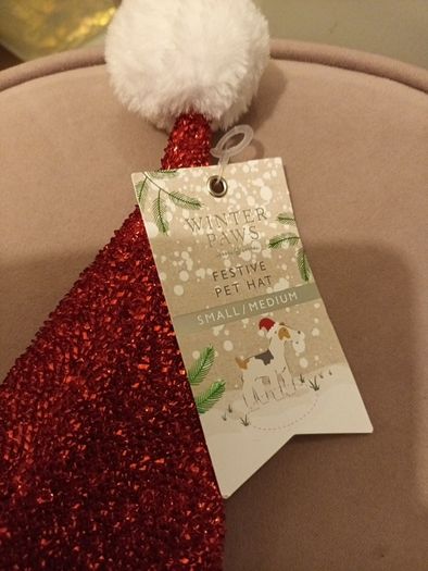 Festive pet hat