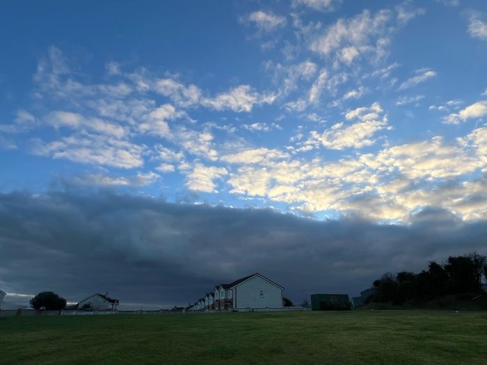 grass grazing wanted