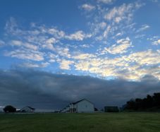 grass grazing wanted