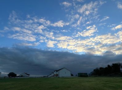 grass grazing wanted