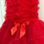 Tutu Dress Image 3