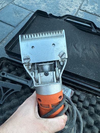 horse clippers