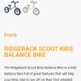 Scoot Ridgeback balance bike Image 4