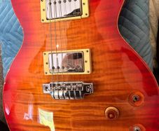 Line 6 James Tyler Jtv-59 (emg / Schaller Upgrades)