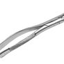 Dental Extracting Forceps Image 4