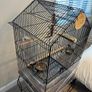 Bird cage Image 2