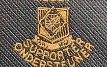 Ondersteuner Rugby Supporter Tie - South Africa