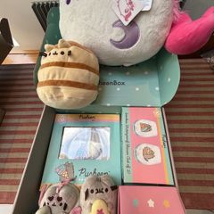 pusheen box set limited edition