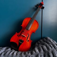 3/4 violin with bow & case