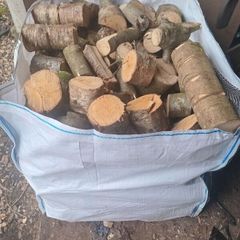 logs