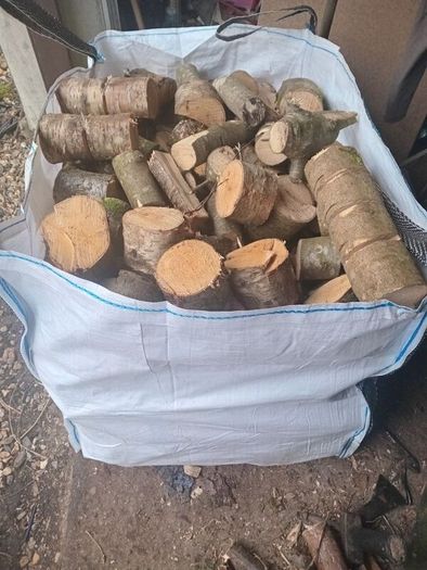 logs
