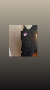 Canada goose