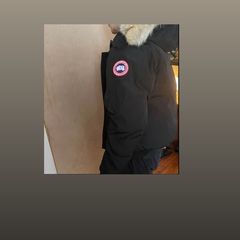 Canada goose