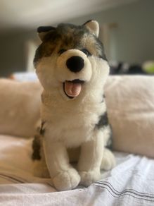 Wolf Teddy Bear