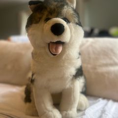 Wolf Teddy Bear