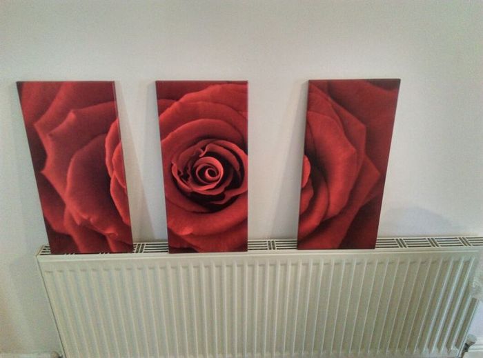 Three matching rose prints on canvas.