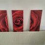 Three matching rose prints on canvas. Image 4