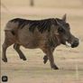 Schleich Warthog Animal Figure Image 4