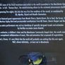 Gorillaz [2006] Demon Days Live (At The Manchester Opera House) [Music DVD] Image 3