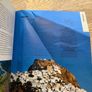 501 Must Visit Islands Book - FREE Image 4