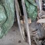 Pair of 46" Antique Wooden Carriage Wheels (Solid Rubber Tyres) Image 4