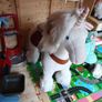 pony Image 5